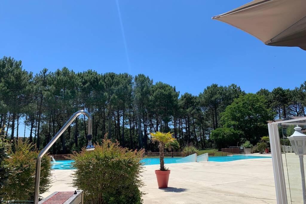 Appartement T2 1Chambre 4-5 Personnes - Lacanau - Piscine - Vue Sur Le Golf Exterior foto